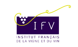 IFV