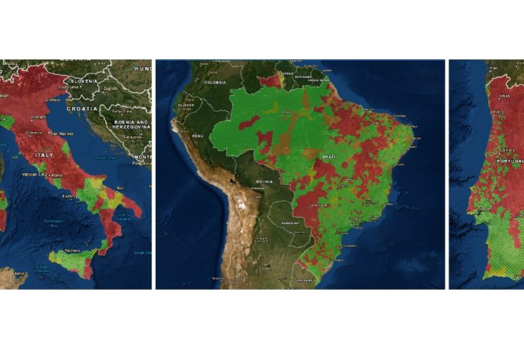 EFFISPRAY 3 MORE COUNTRIES lg