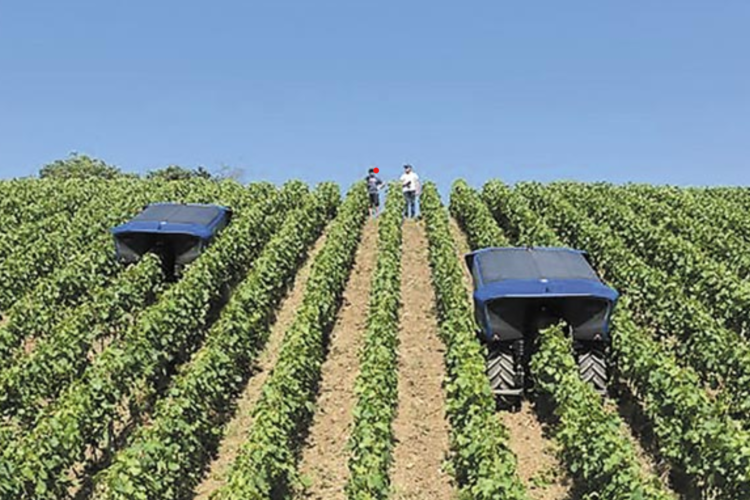 Article regarding iRTA project at Ypaithros Chora