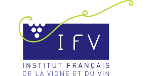 IFV