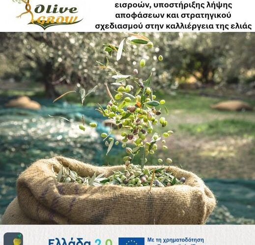Informational event for the project OliveGROW