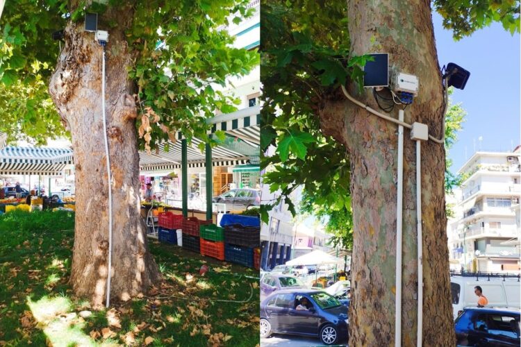 Installation of irrigation automation systems in Trikala