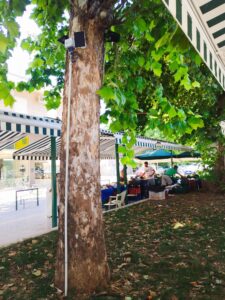 Smart Irrigation Systems in Trikala city